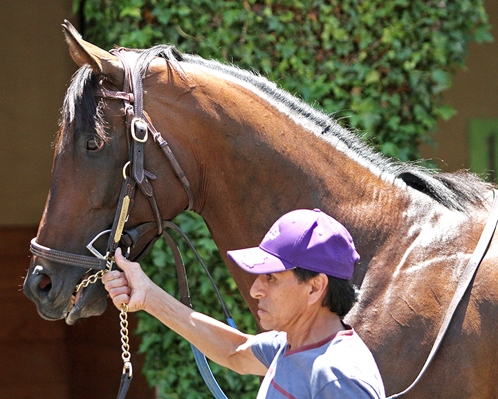 Catapult at Del Mar on July 20, 2019