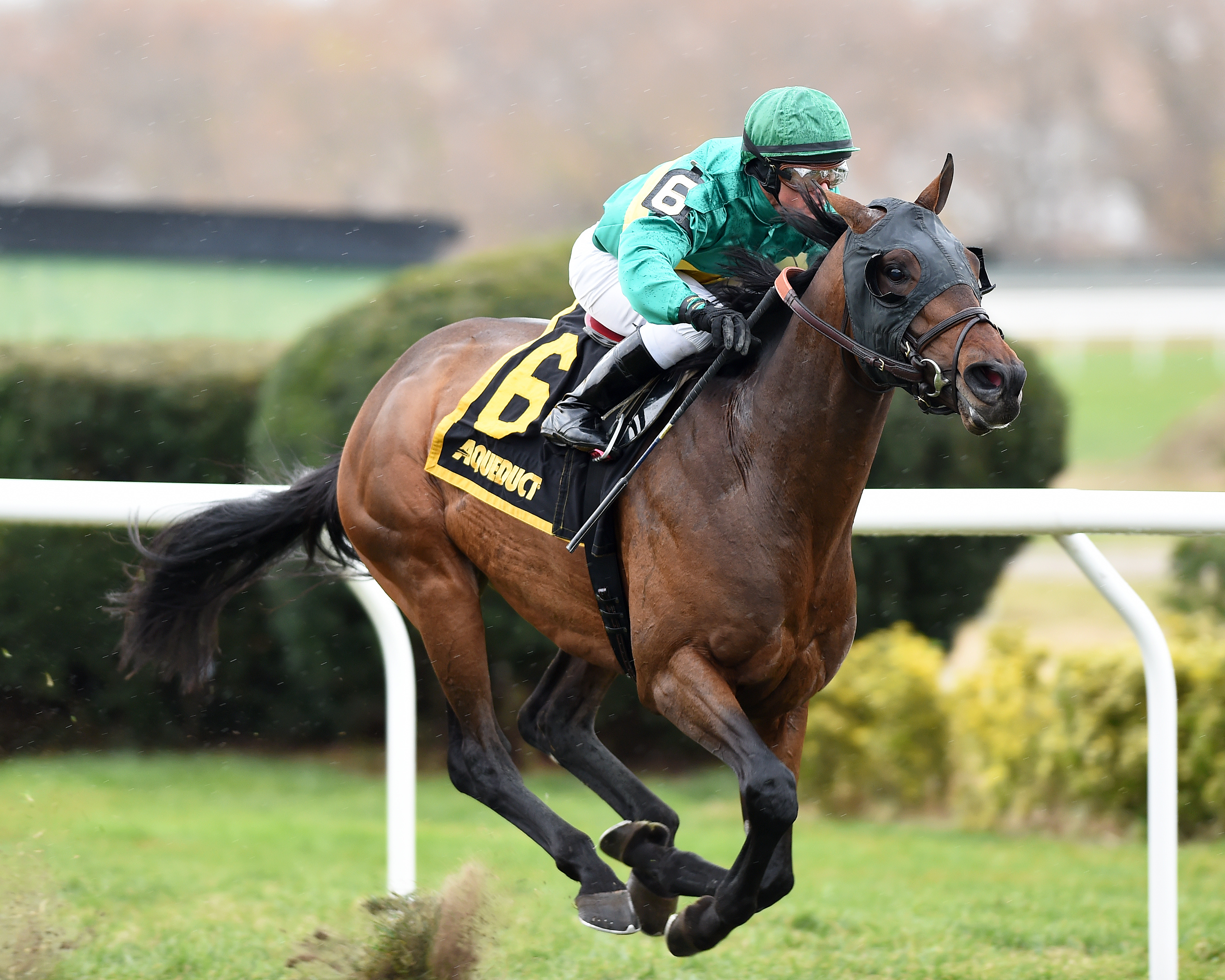 Catapult wins the Gio Ponti Stakes
