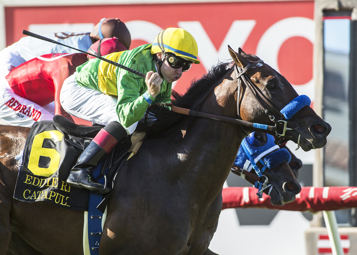 Catapult wins the Eddie Read Stakes