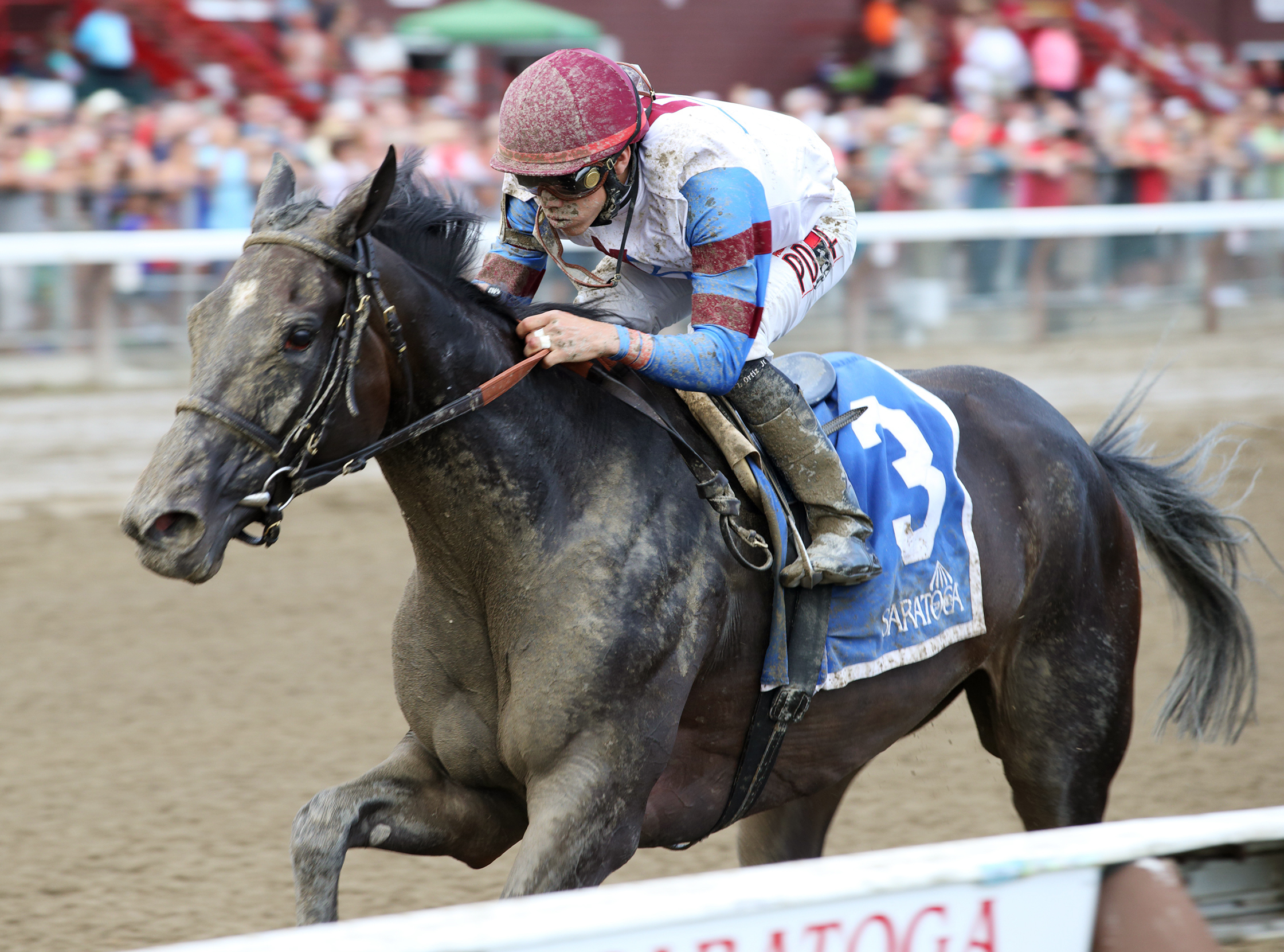 Catch My Drift wins the Summer Colony Stakes