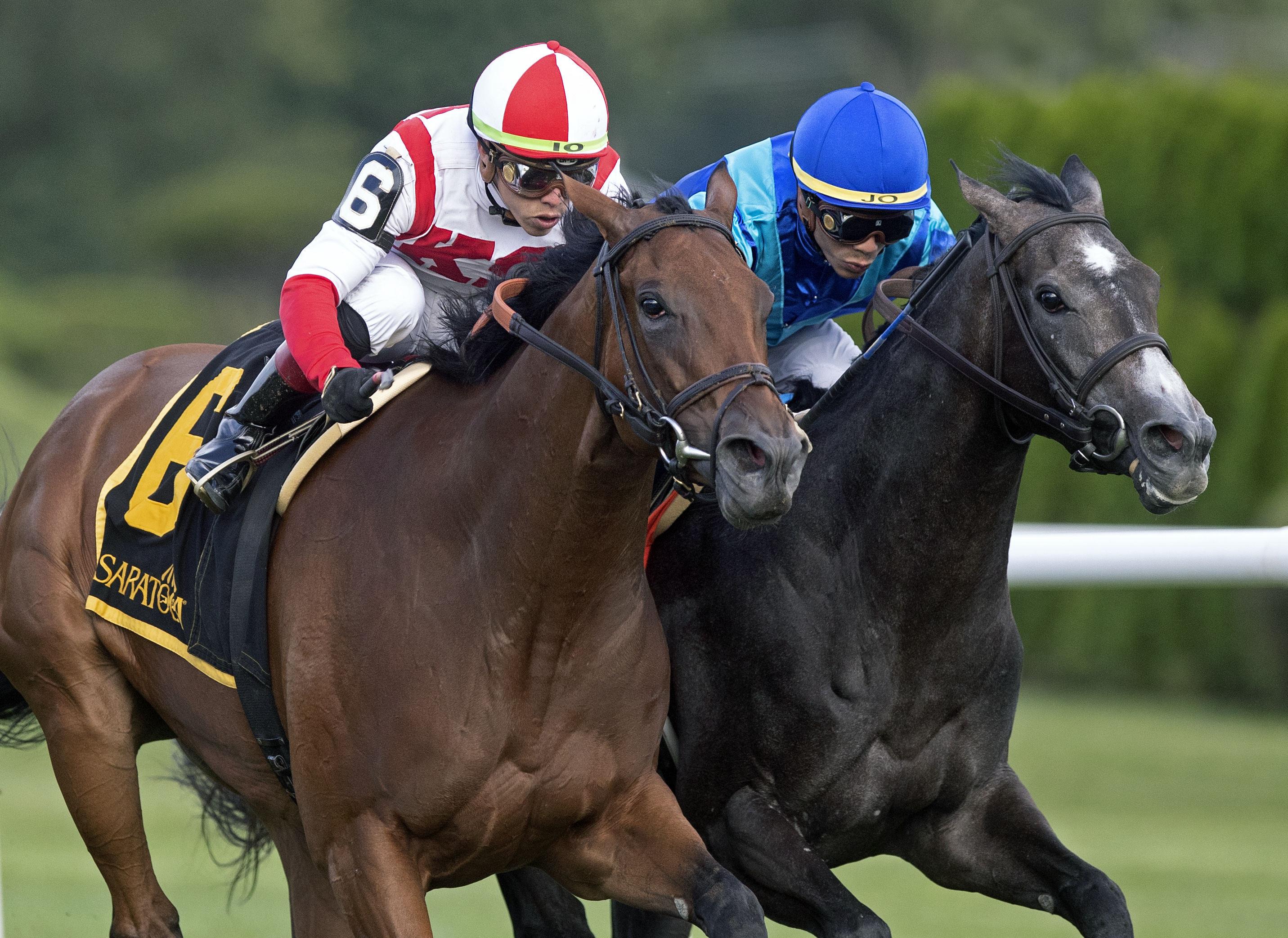 Catch a Bid (left) defeats Dalika in the 2019 Riskaverse Stakes