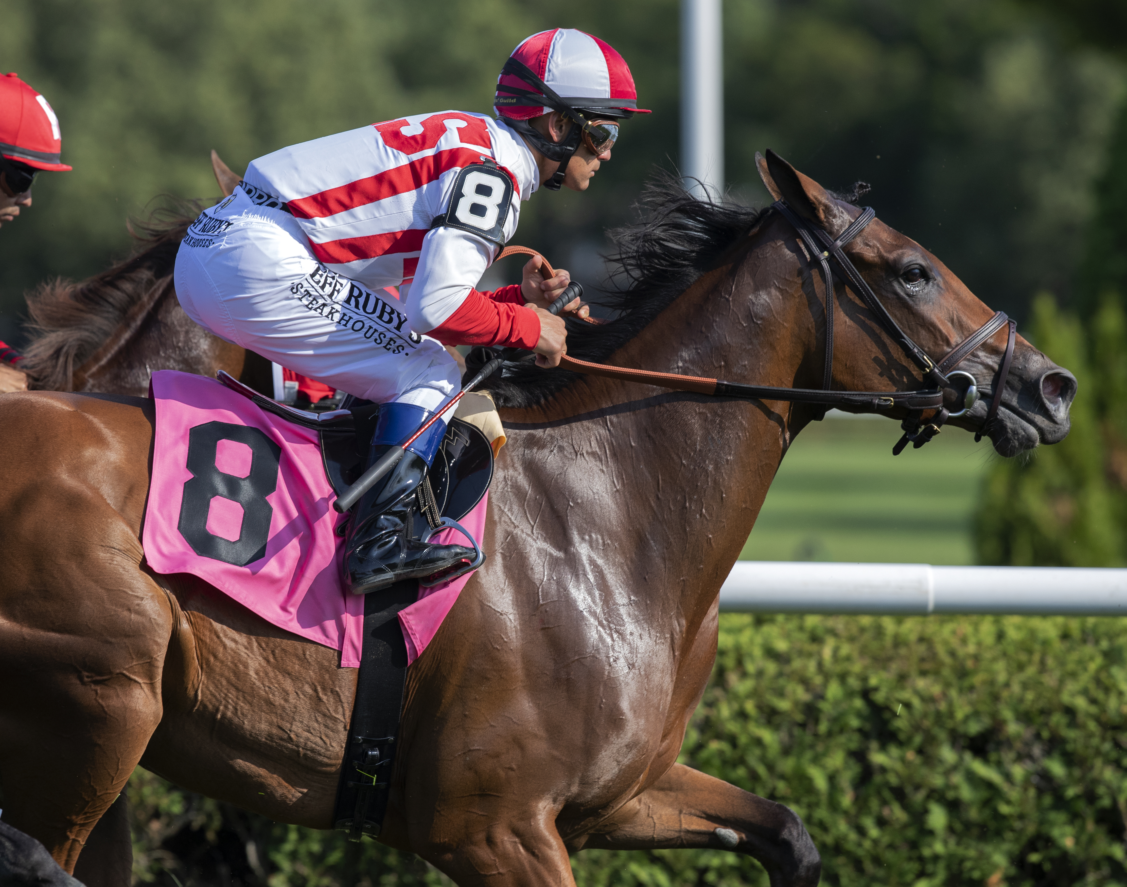 Catch a Bid finishes second at Saratoga on 7.14.19