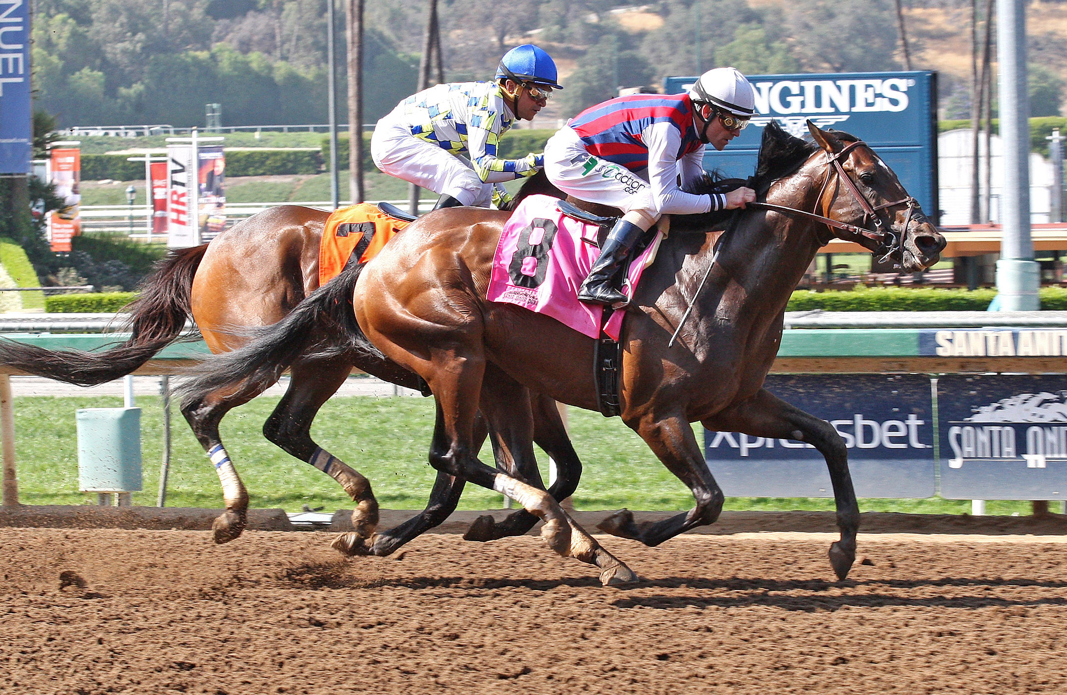 Catch a Flight wins the Californian