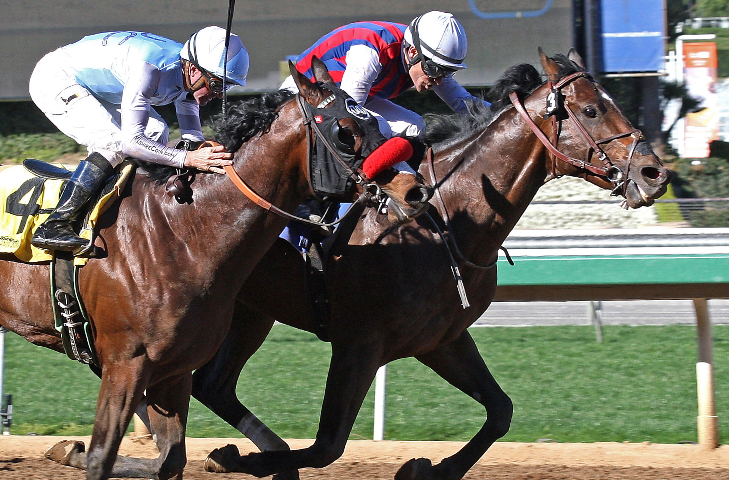 Catch a Flight wins an allowance race