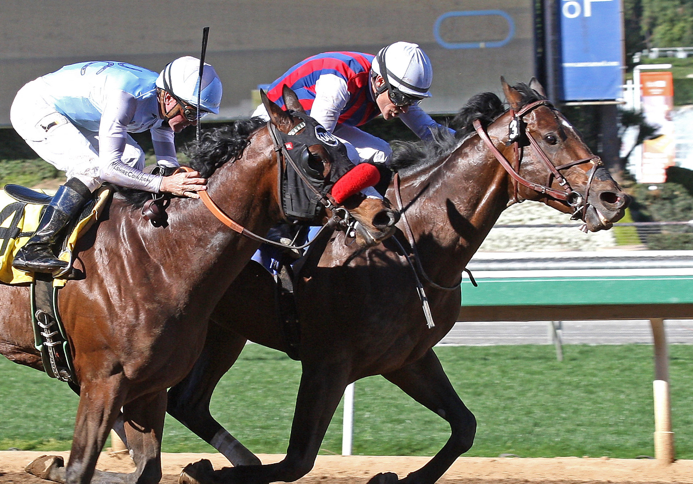 Catch a Flight wins an allowance race