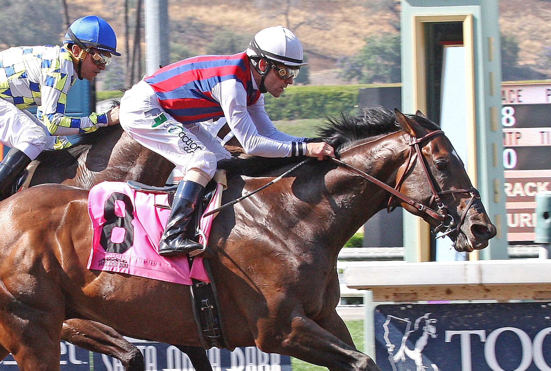 Catch a Flight wins the Californian