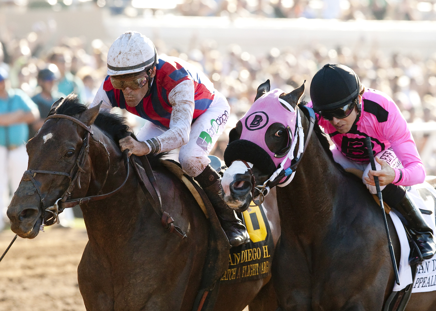 Catch a Flight wins the San Diego Handicap