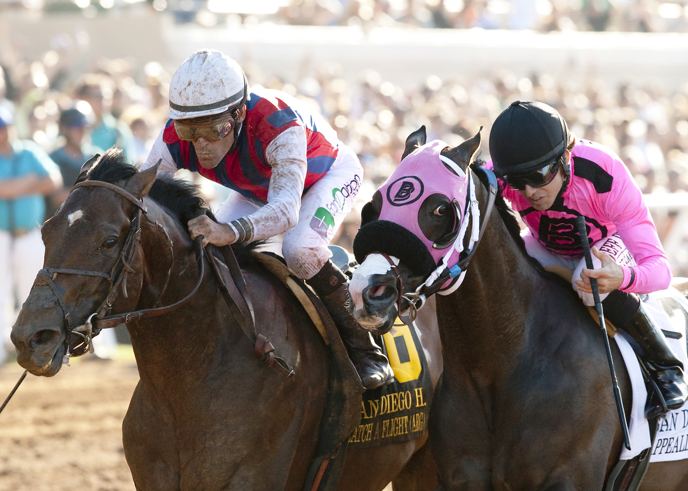 Catch a Flight wins the San Diego Handicap