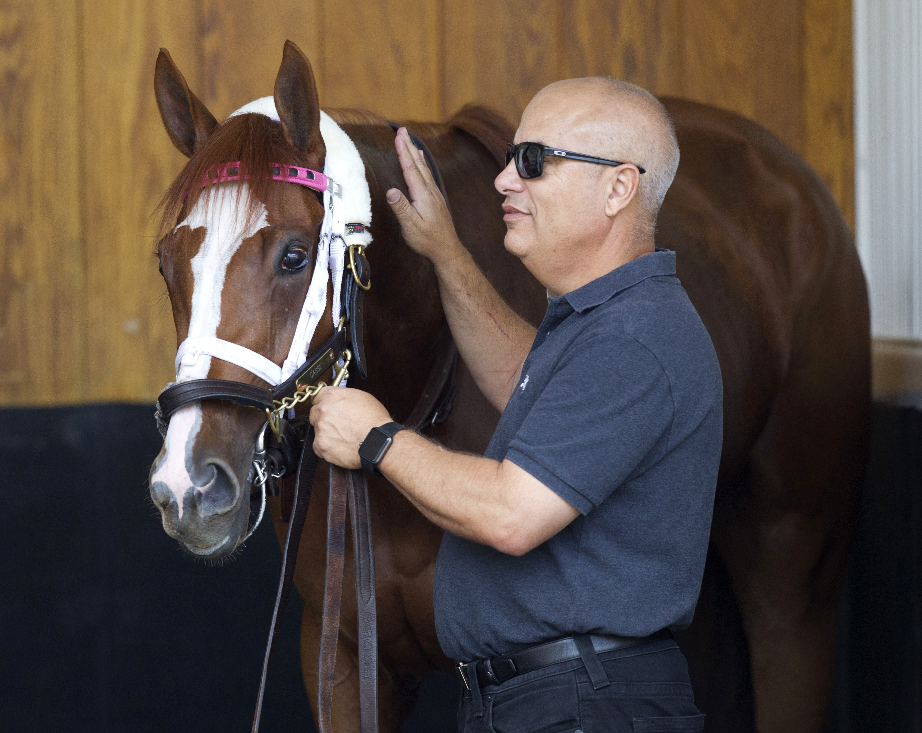 Catch a Glimpse with Mark Casse