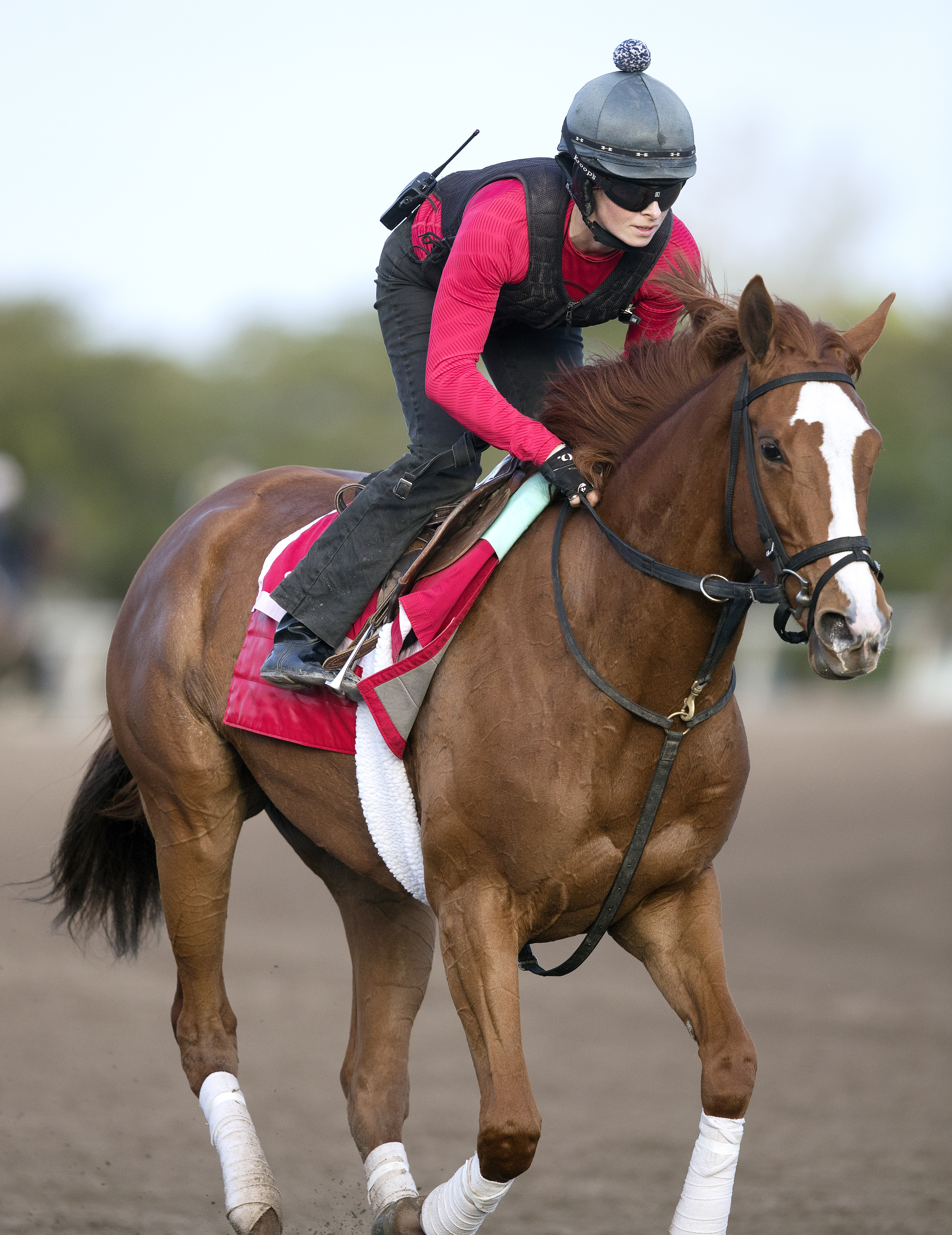 Catch a Glimpse trains at Palm Meadows on Jan. 16