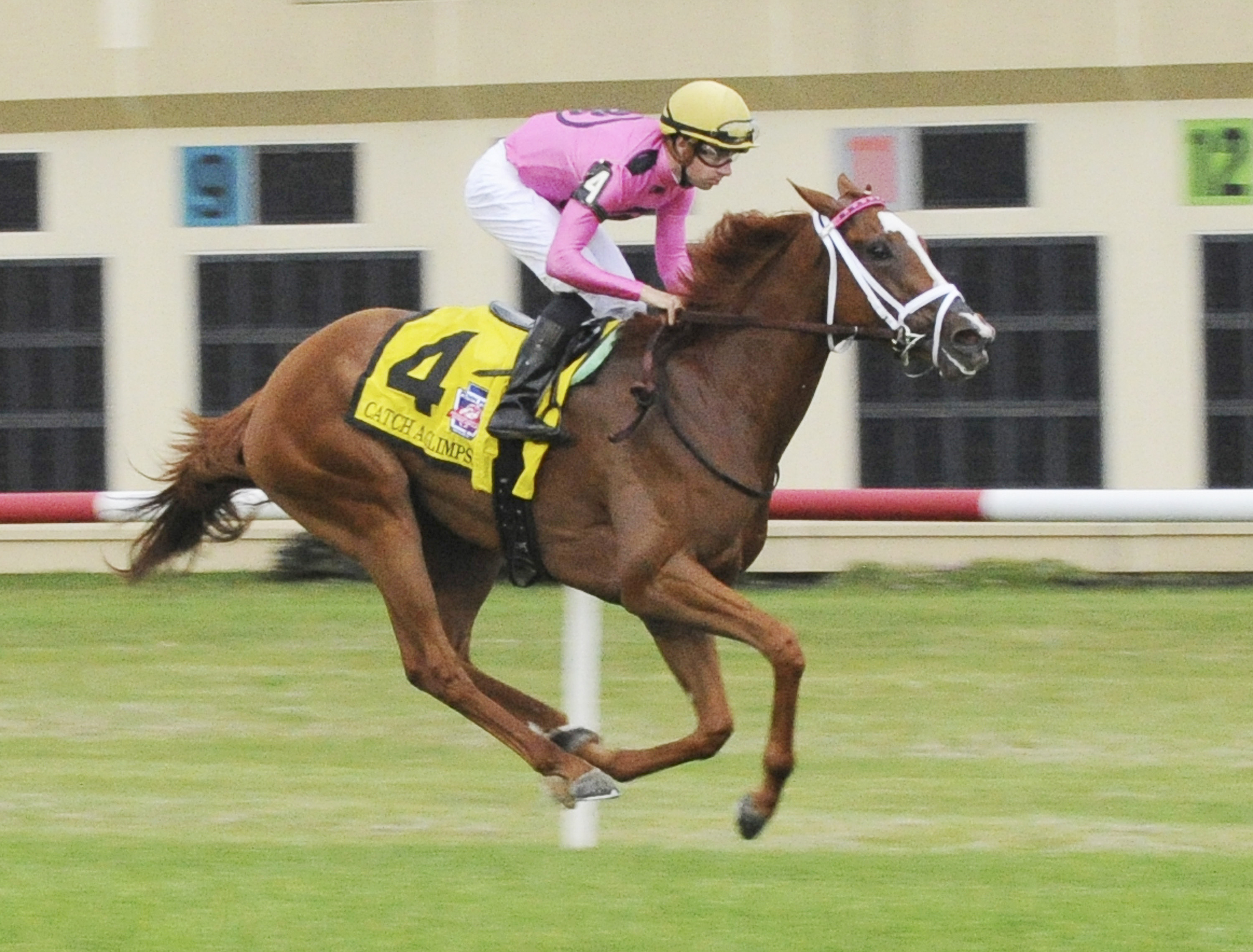 Catch a Glimpse wins the Penn Mile