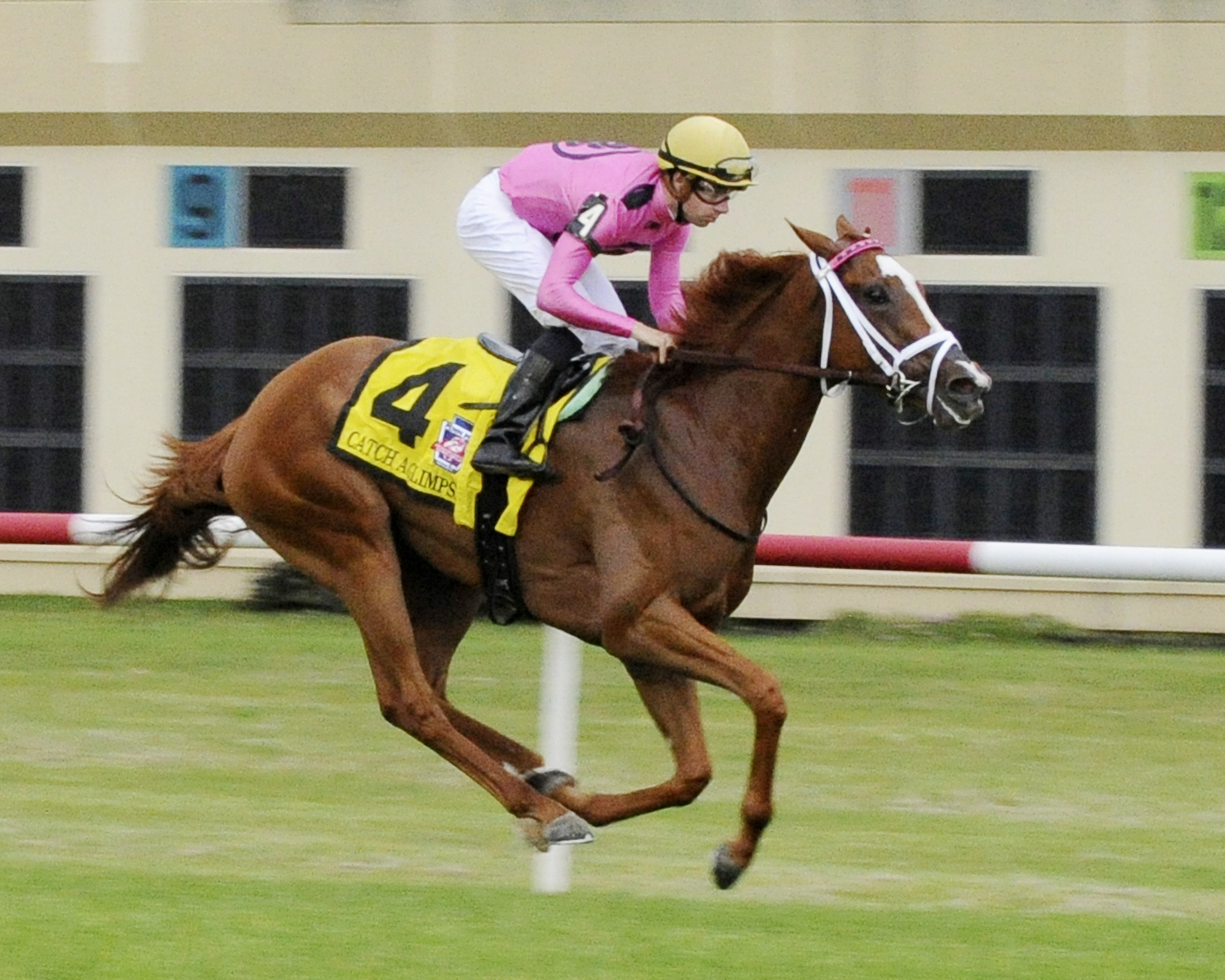 Catch a Glimpse wins the 2016 Penn Mile