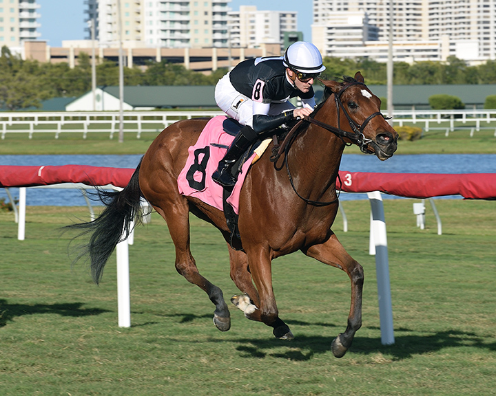 Catch a Thrill wins a Jan. 13 maiden race