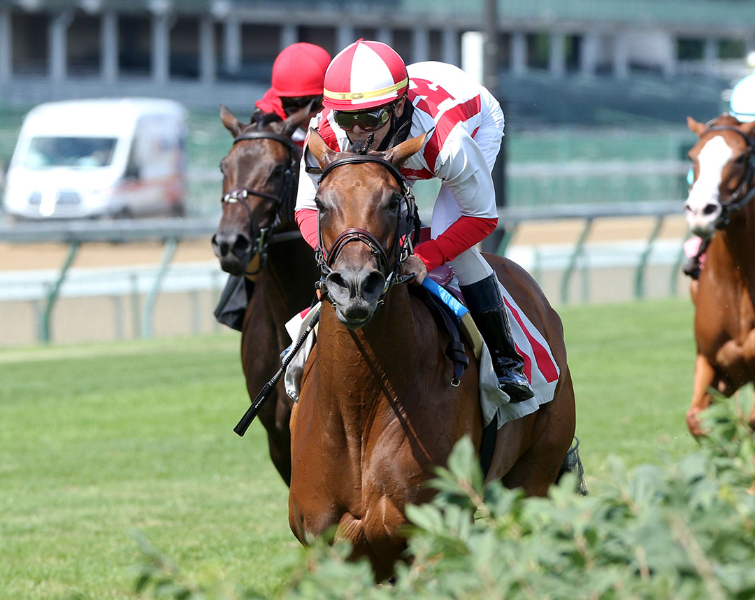 Catch a Bid wins a June 14 allowance at Churchill Downs