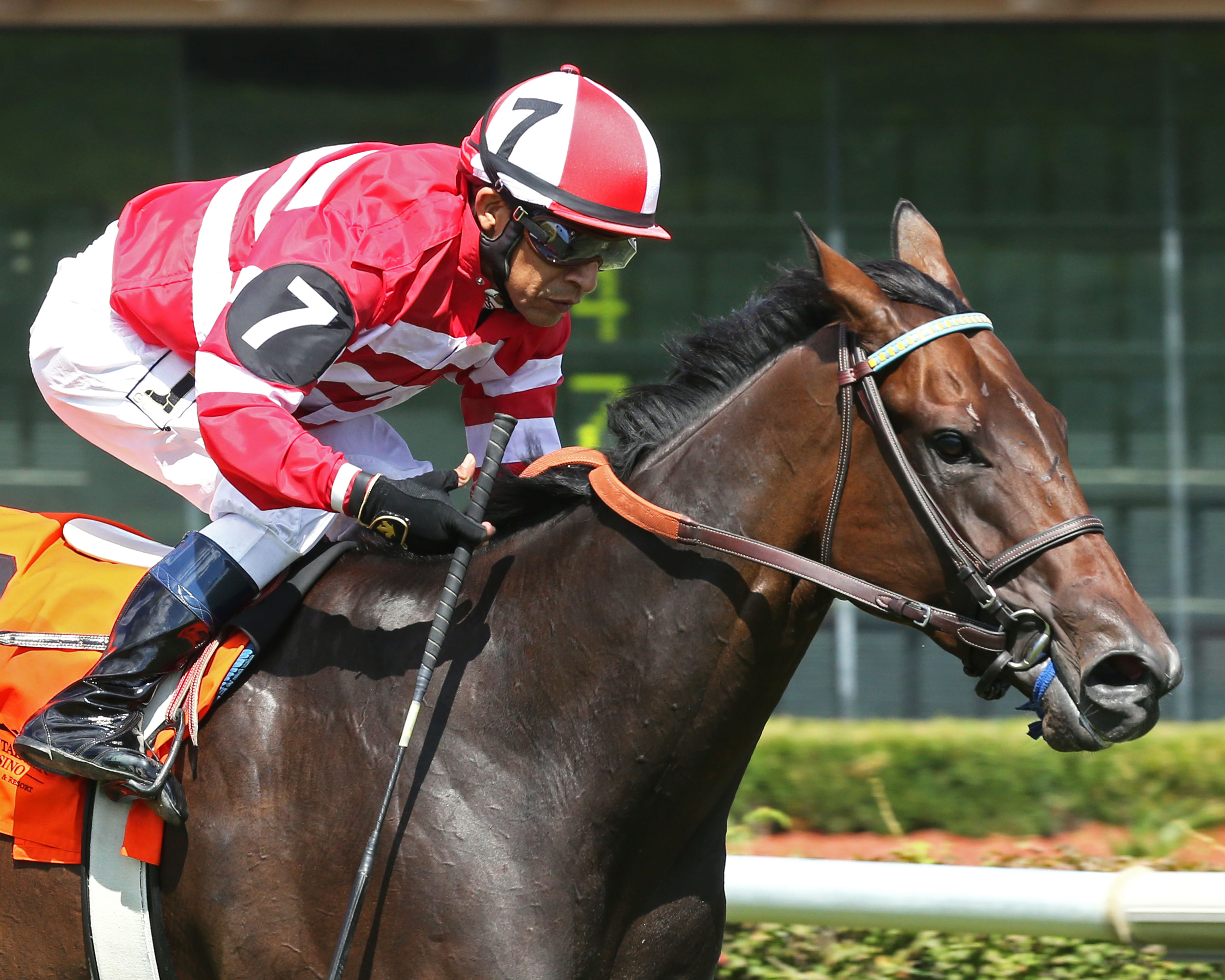 Catcha Rising Star wins the West Virginia Senate Presidents Cup