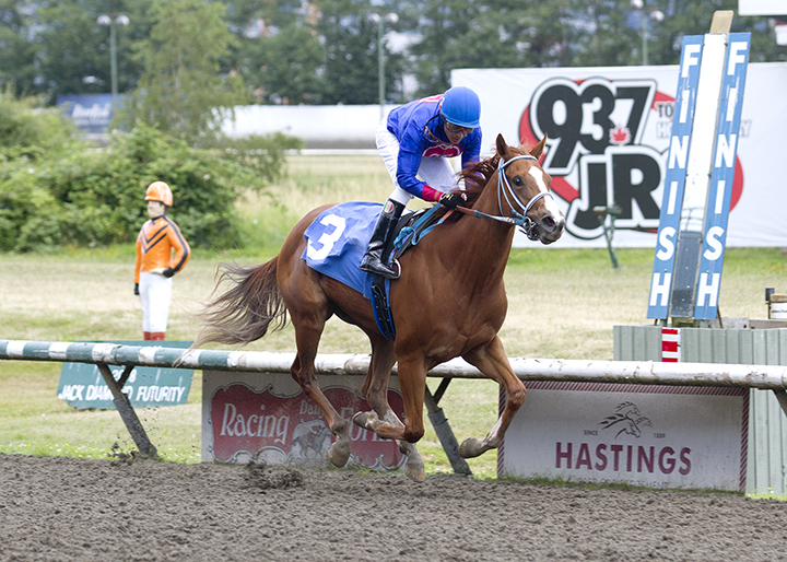 Catchacougar wins the 2019 Spaghetti Mouse Stakes at Hastings Race Course