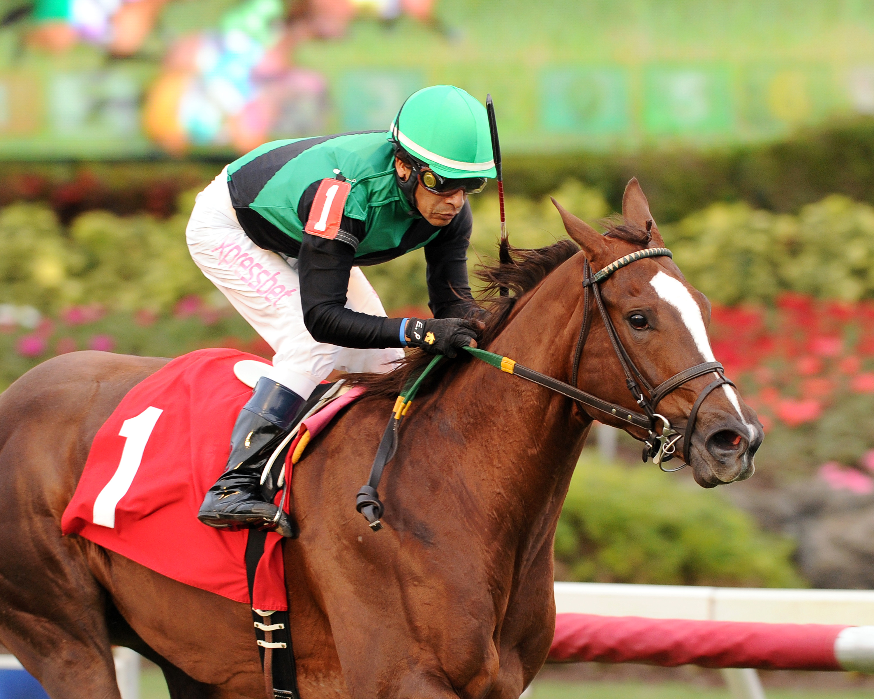 Catching Fireflies wins an allowance race