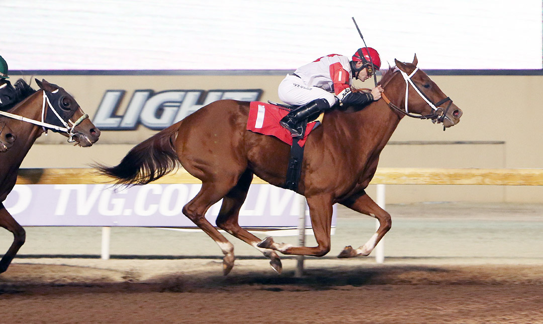 Catdaddy wins a November 2019 allowance at Remington Park