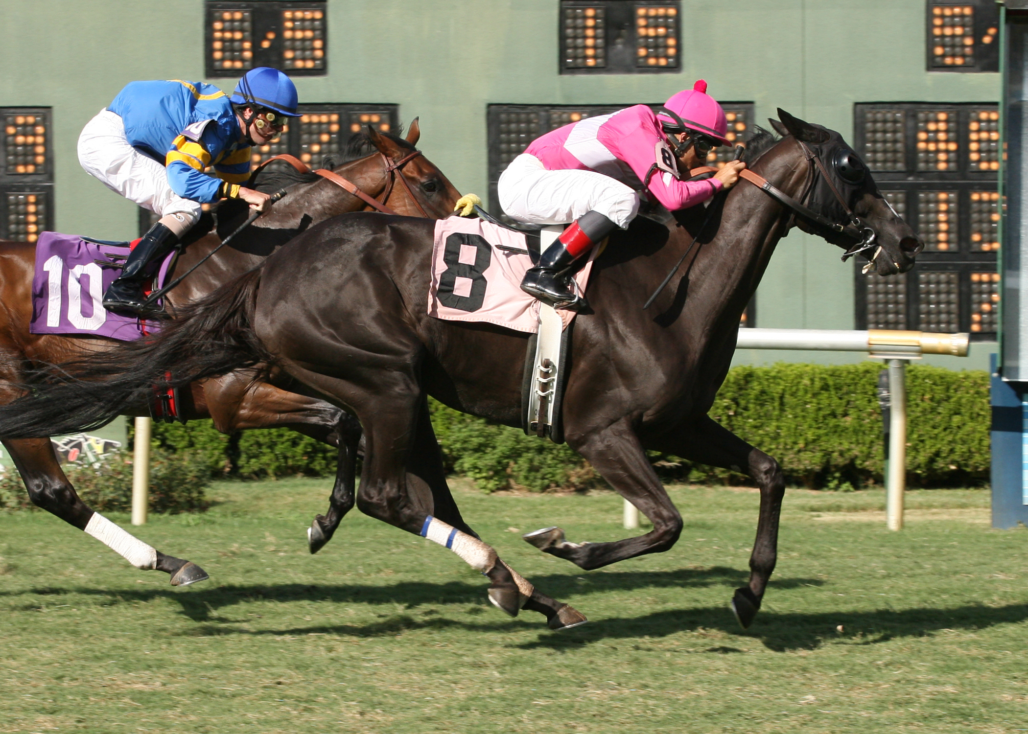 Category Seven/Shishkabob Stakes 2010