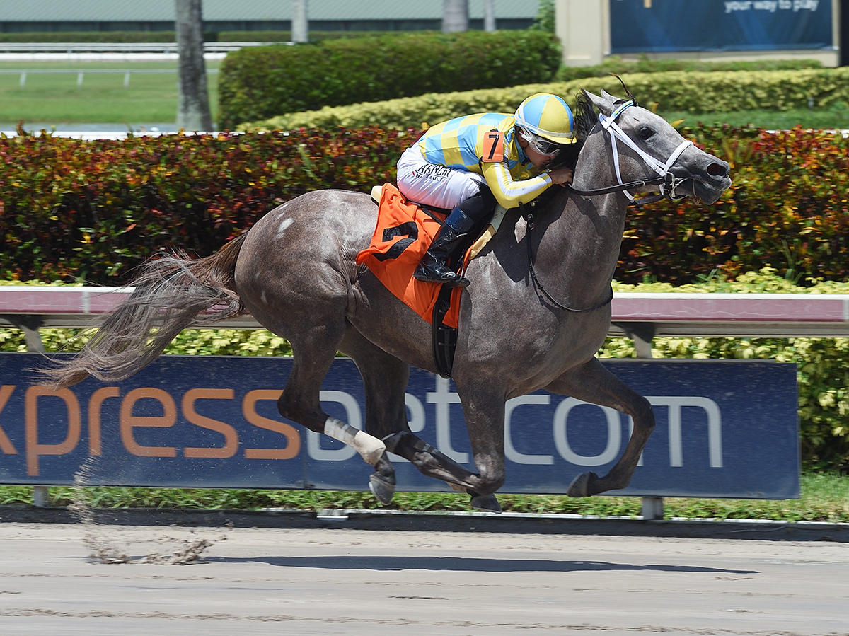 Catherinethegreat wins a June 23 maiden race at Gulfstream