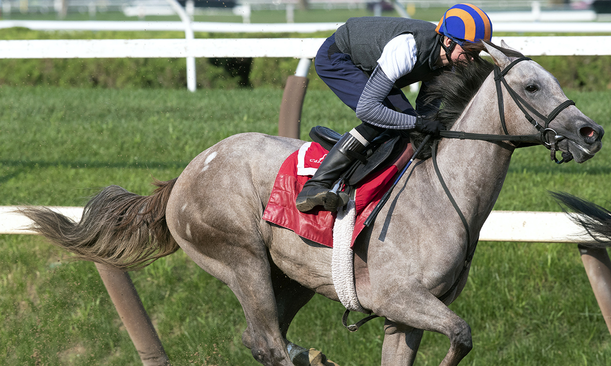 Catherinethegreat trains at Saratoga on Aug. 16