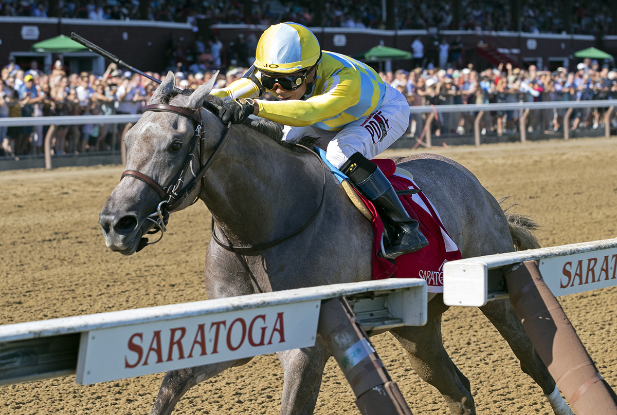 Catherinethegreat wins the 2018 Schuylerville