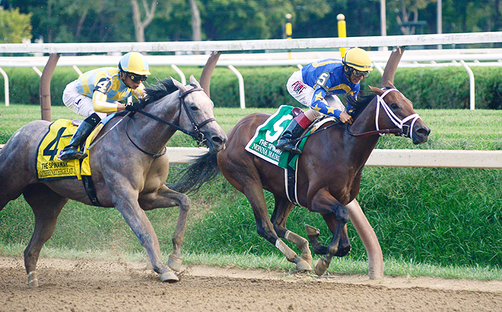 Nonna Madeline (right) finishes fifth in the 2018 Spinaway Stakes at Saratoga Race Course