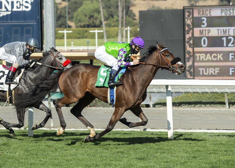 Cathkin Peak wins Eddie Logan Stakes 12-27-2020