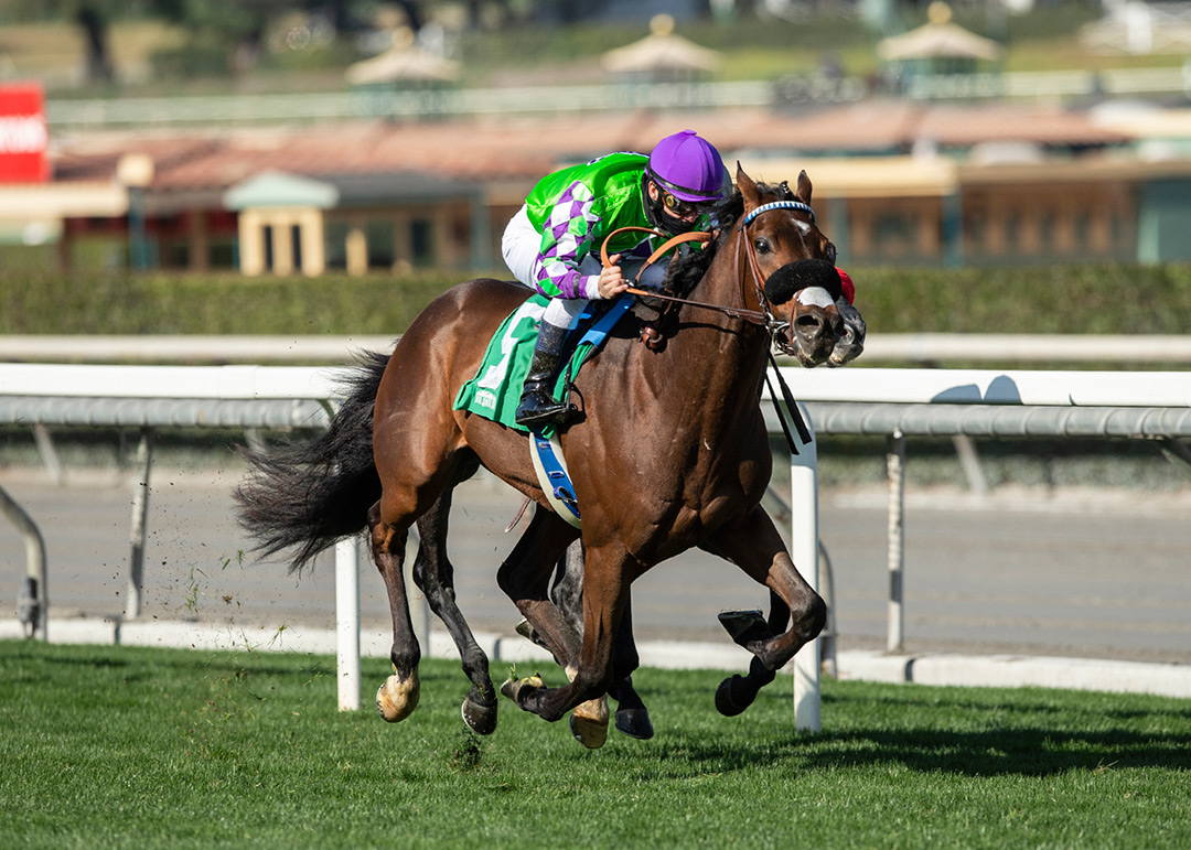 Cathkin Peak wins the 2020 Eddie Logan Stakes at Santa Anita Park