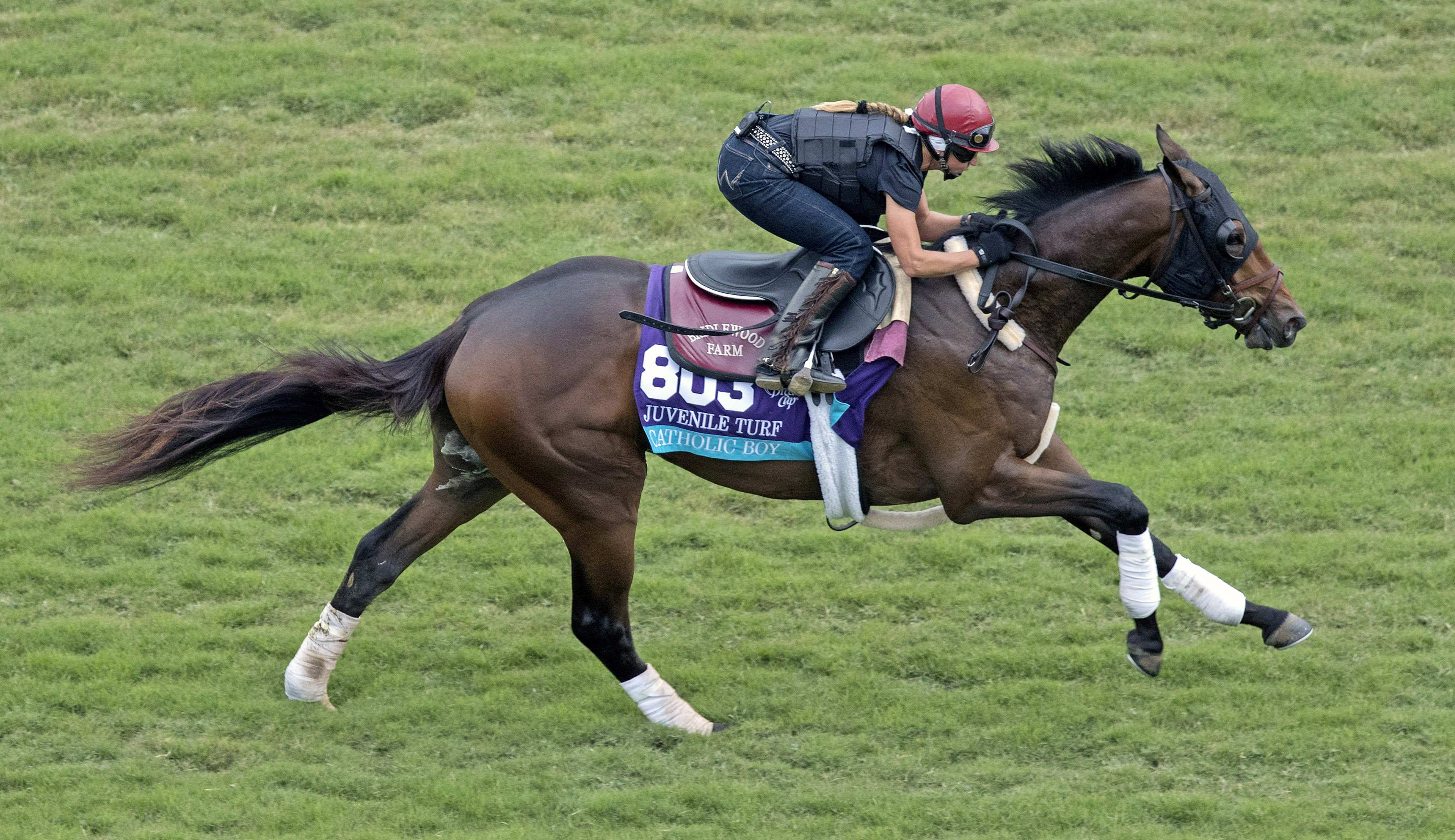 Catholic Boy trains on Oct. 29