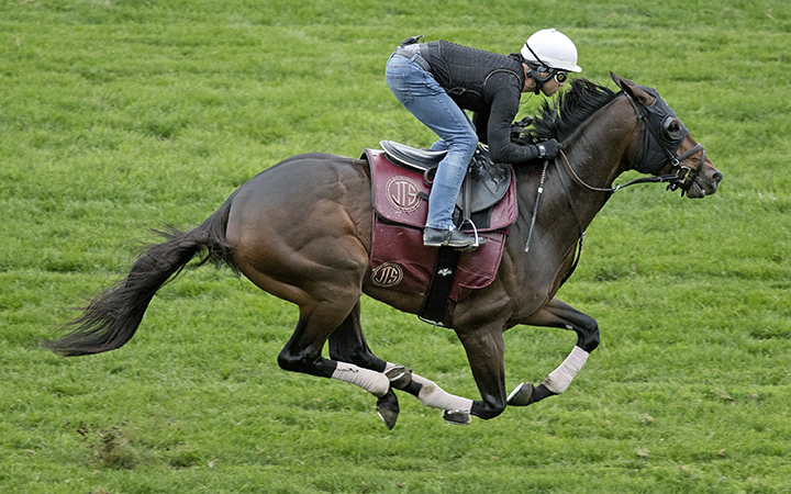 Catholic Boy trains at Belmont Park on Oct. 6