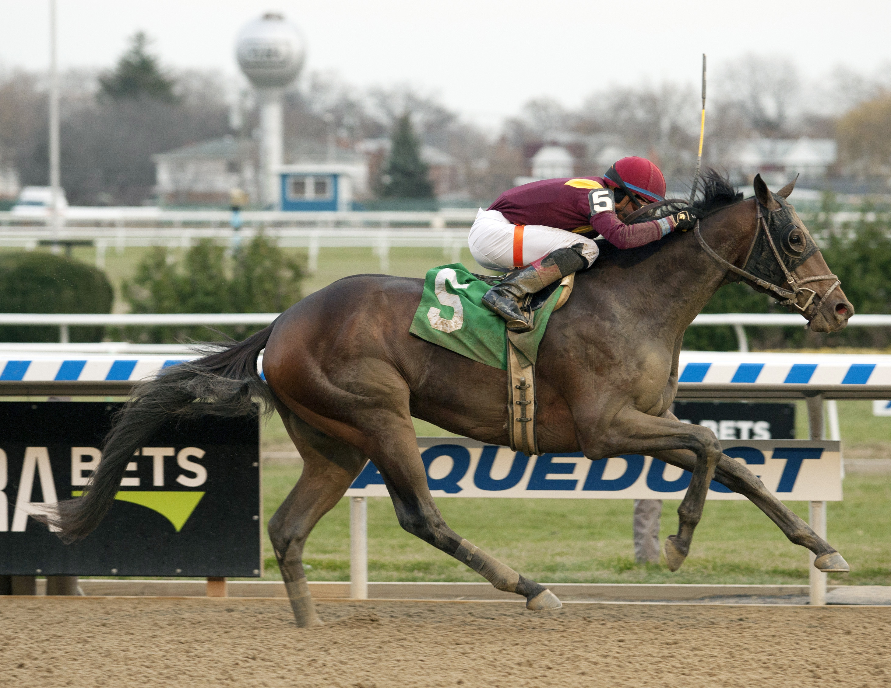 Sparkman: Catholic Boy shows More Than Ready's versatility