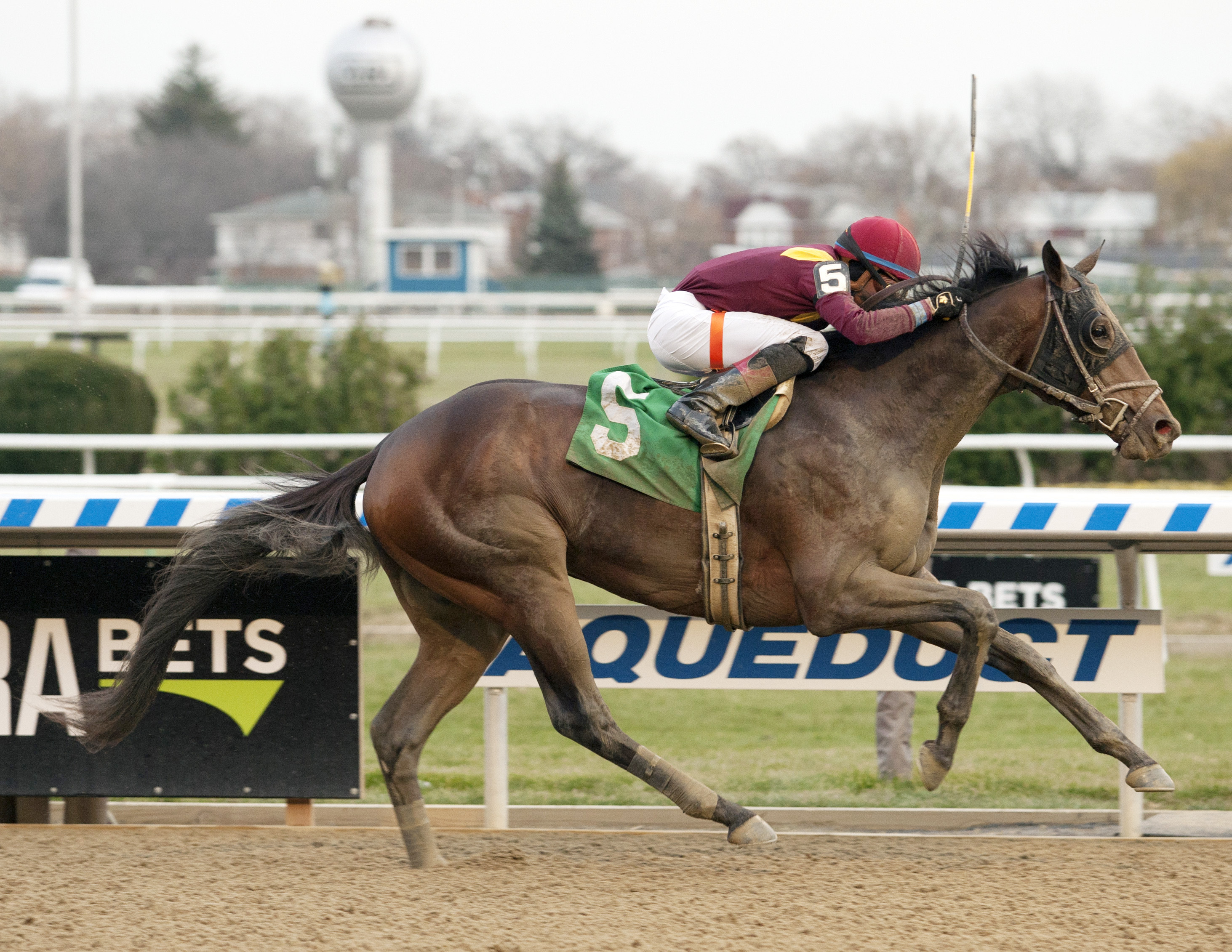 Catholic Boy wins the 2017 Remsen