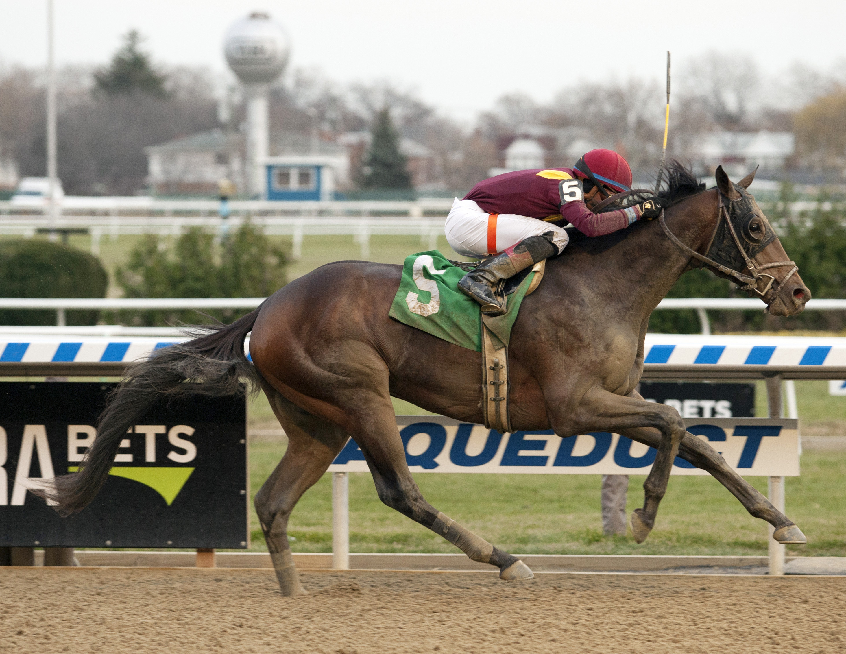 Catholic Boy wins the 2017 Remsen