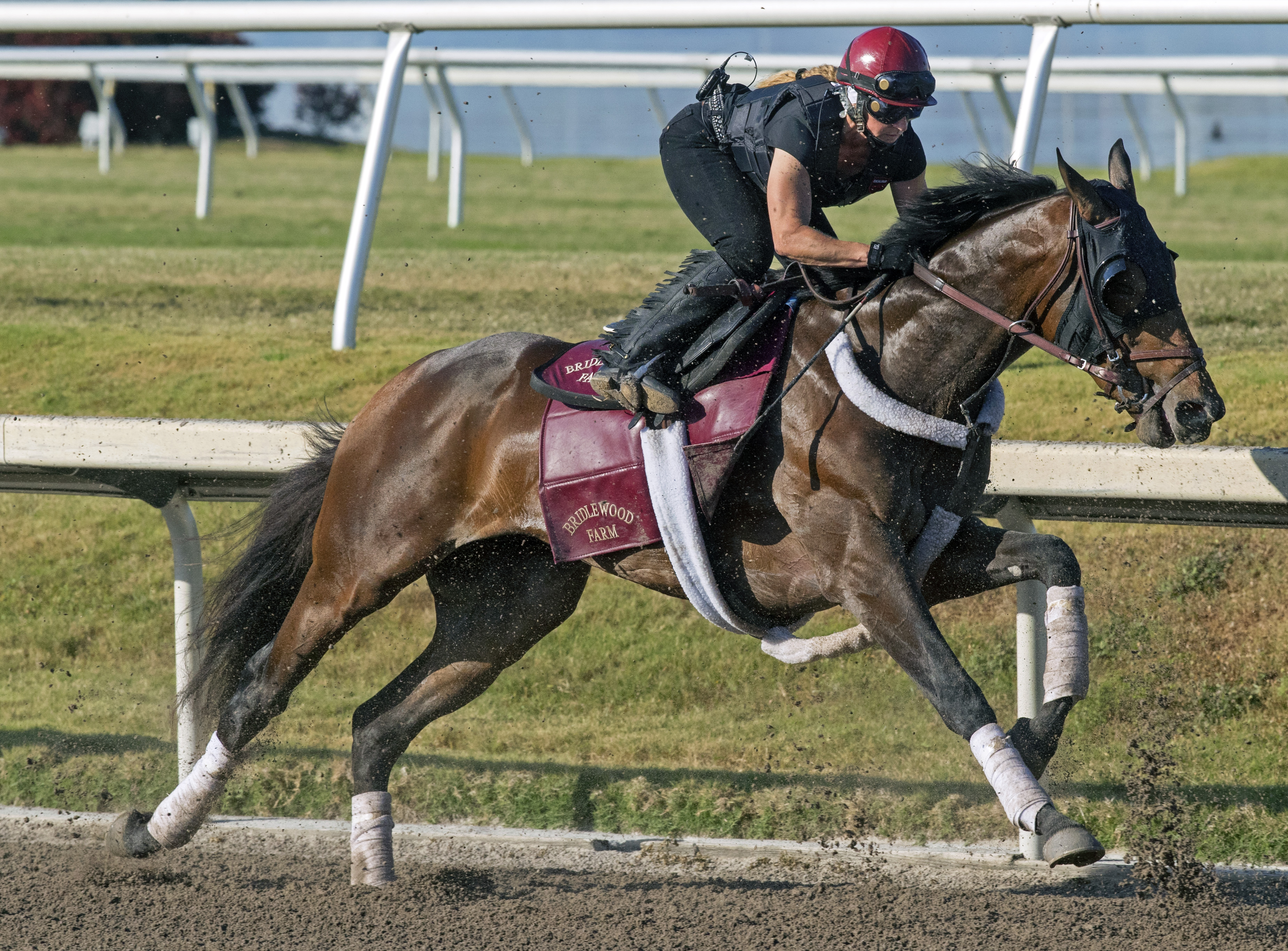 Catholic Boy trains at Gulfstream on March 25