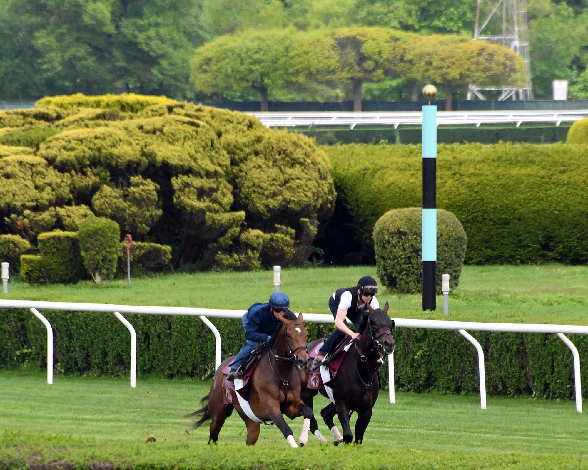 Catholic Boy (left) works with Osare at Belmont Park on 5.11.19