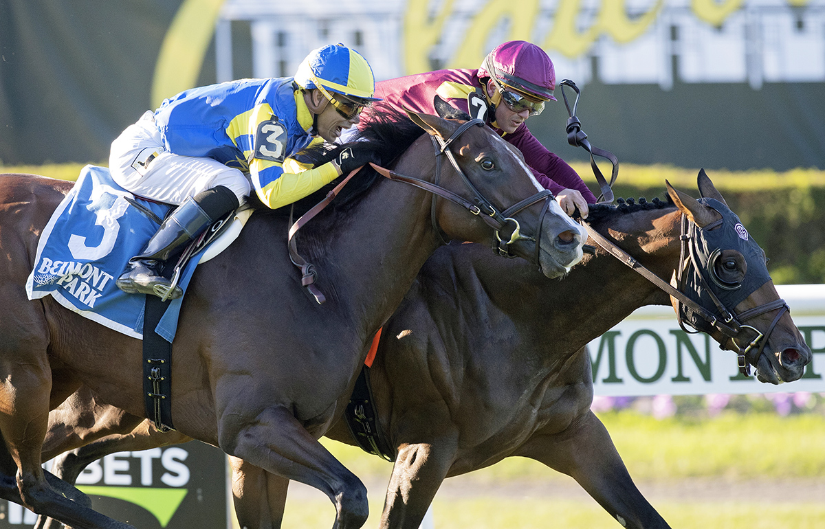 Analyze It is beaten at the wire by Catholic Boy in the Belmont Derby