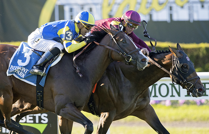 Analyze It finishes second in the Belmont Derby