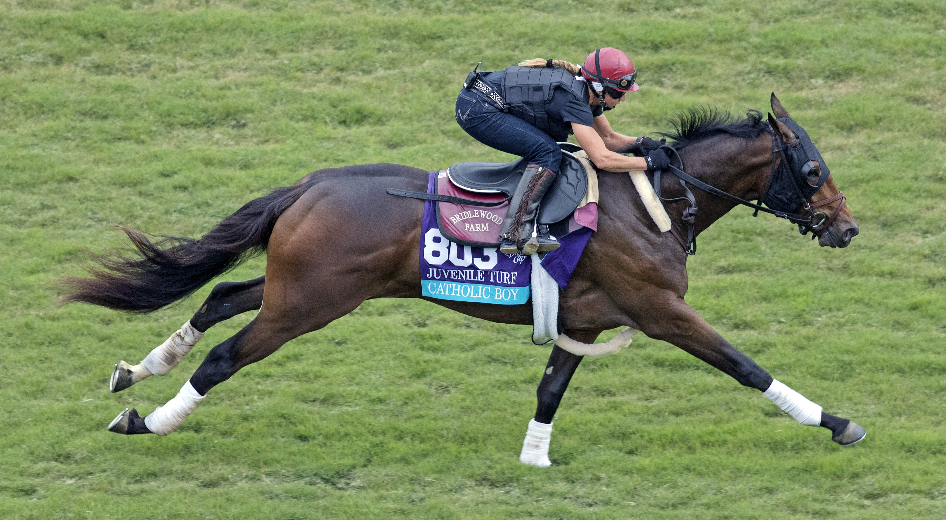 Catholic Boy trains at Del Mar on Oct. 29