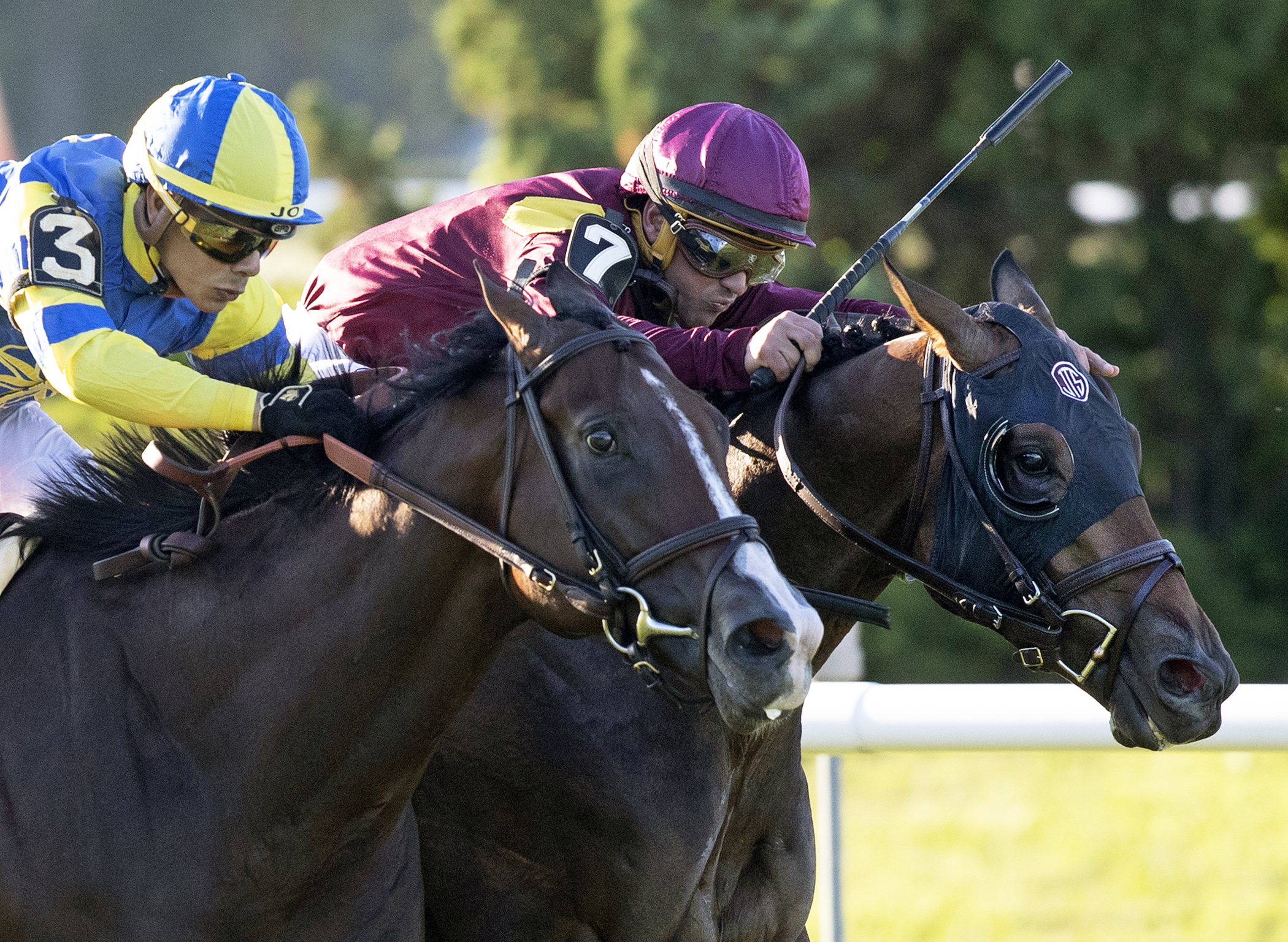 Catholic Boy (inside) defeats Analyze It in the Belmont Derby