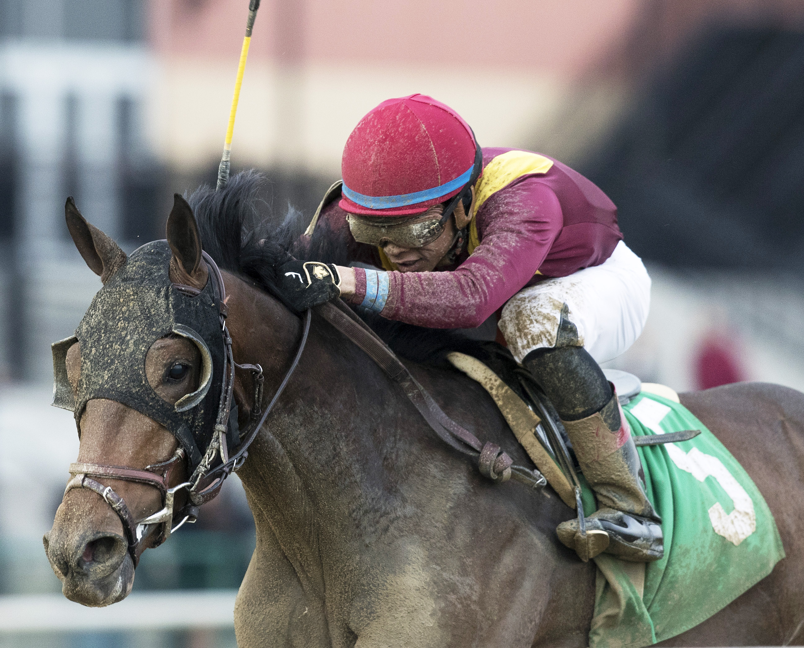 Catholic Boy wins the Remsen