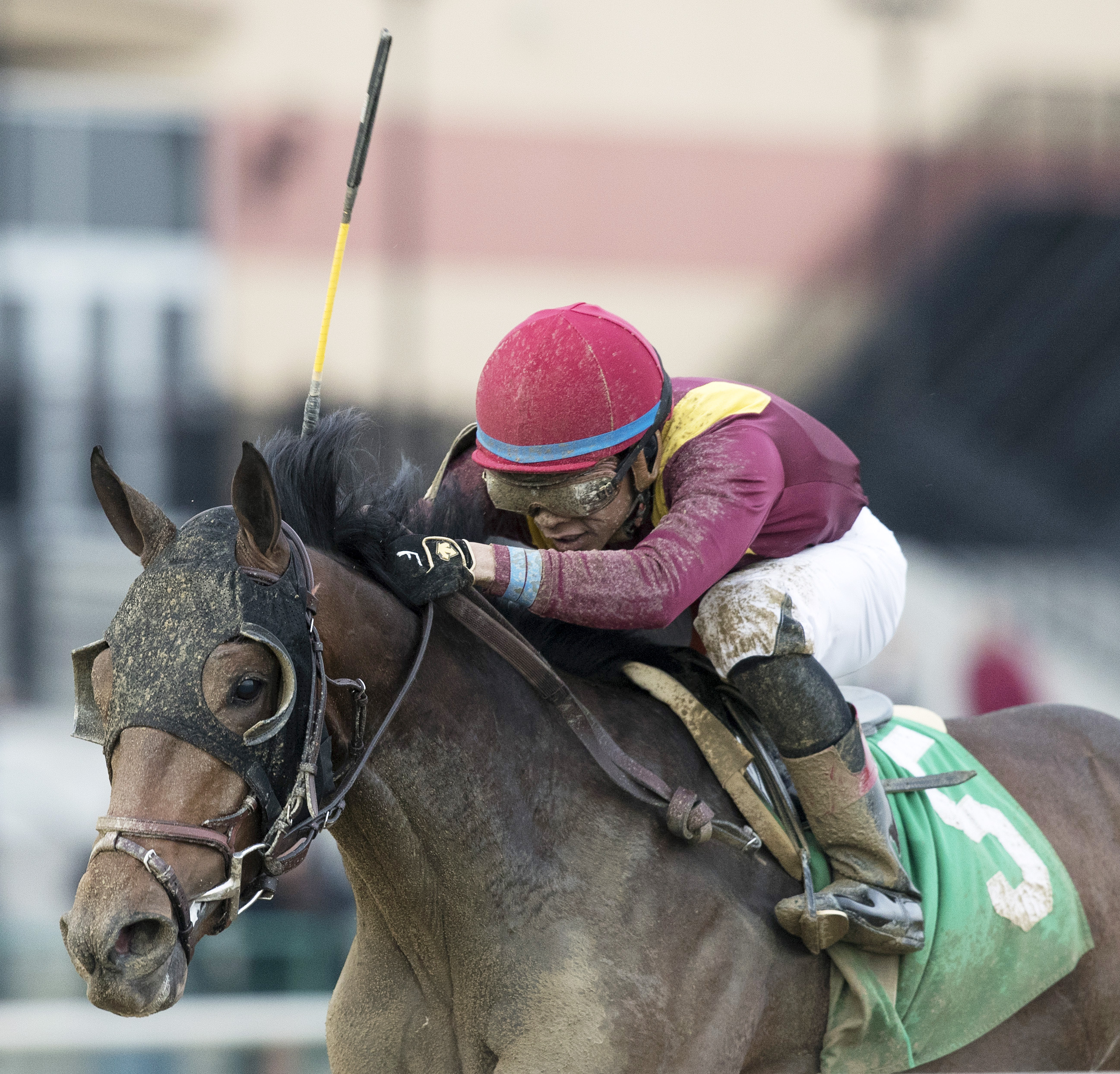 Catholic Boy wins the 2017 Remsen