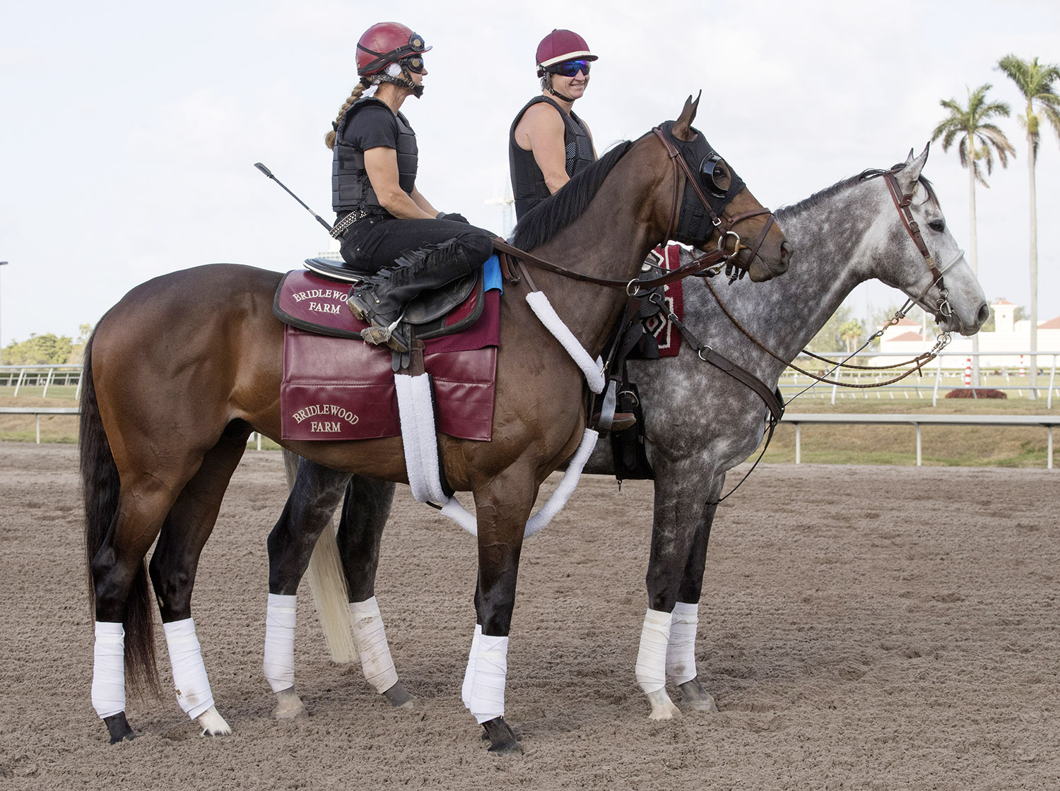 Catholic Boy at Palm Beach Downs on March 28