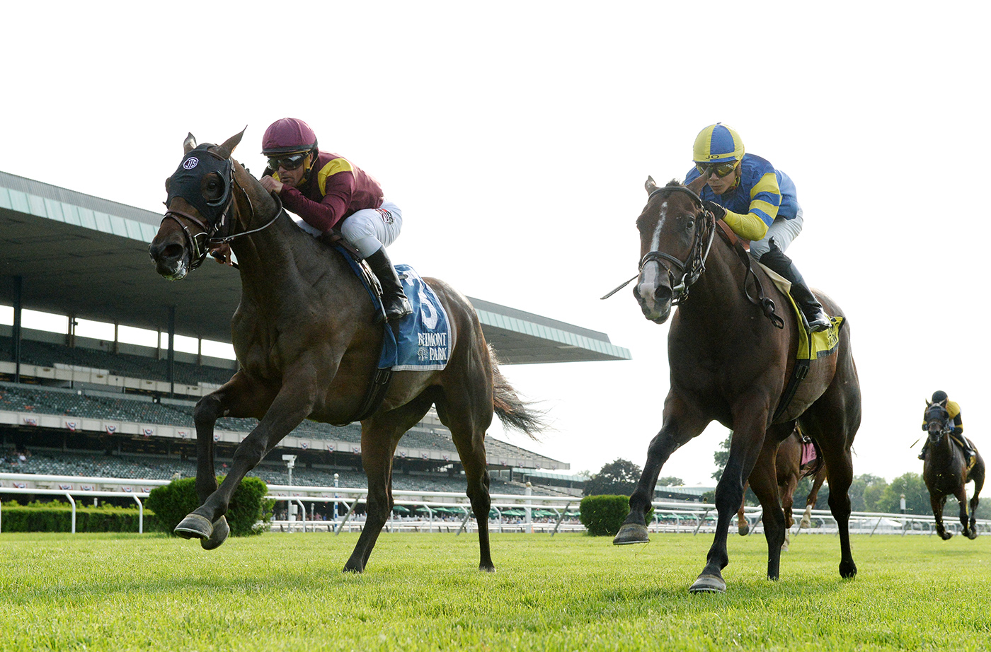 Catholic Boy wins the Pennine Ridge