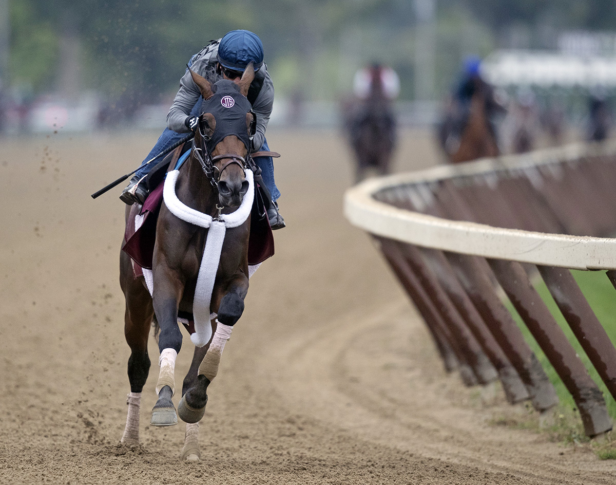 Catholic Boy trains at Saratoga on Aug. 13