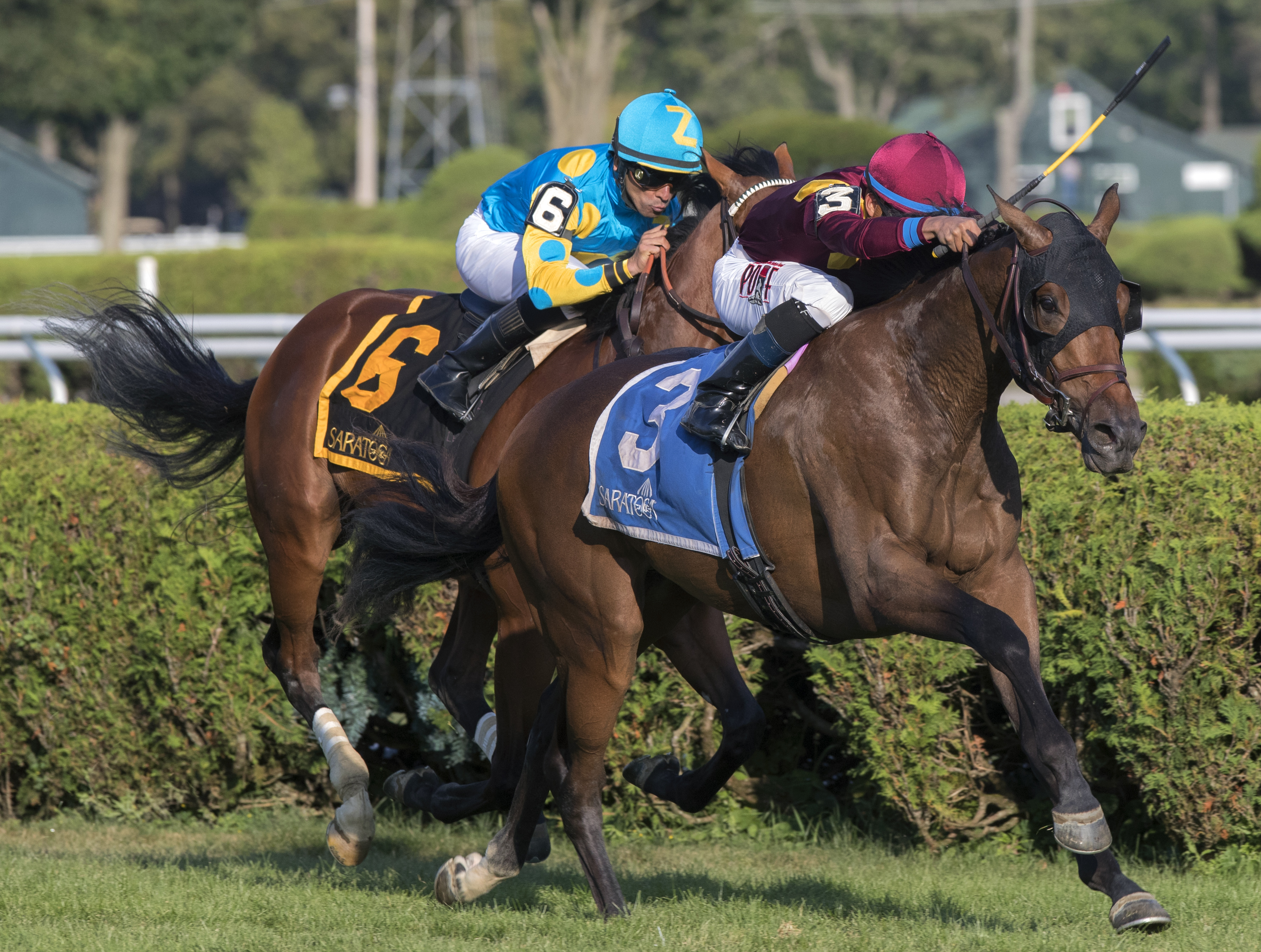 Catholic Boy wins the With Anticipation Stakes