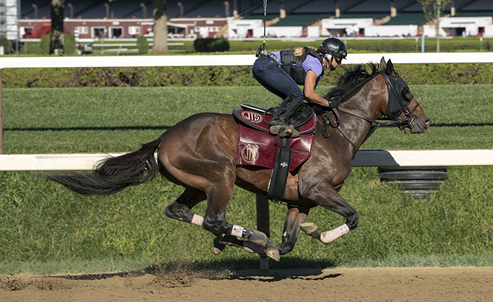 Catholic Boy trains at Saratoga Race Course on Aug. 31