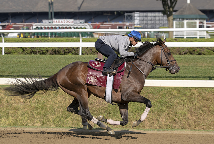 Catholic Boy trains at Saratoga Race Course on Aug. 9