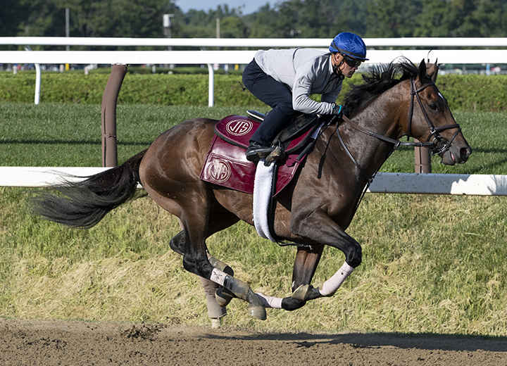Catholic Boy trains at Saratoga Race Course on Aug. 9