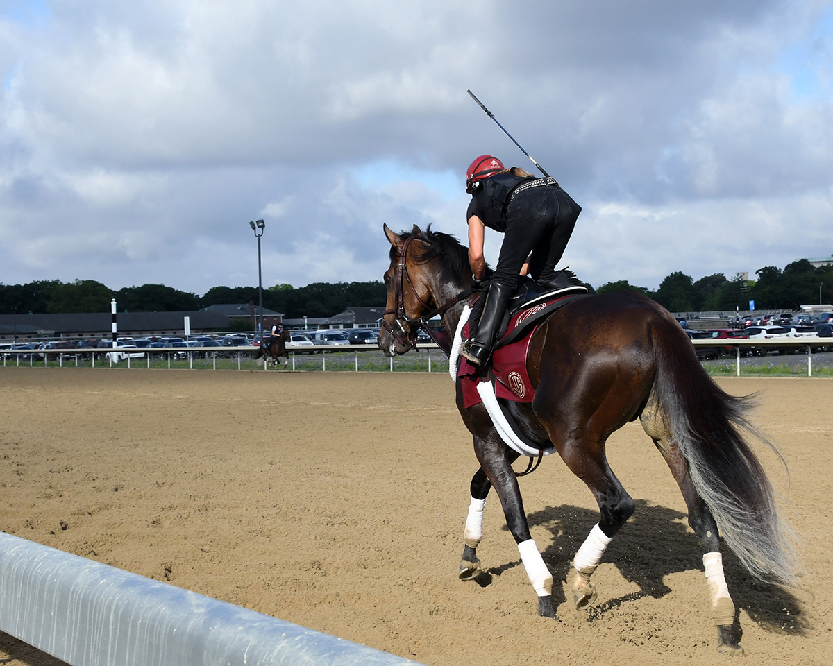 Catholic Boy at Belmont Park on July 5